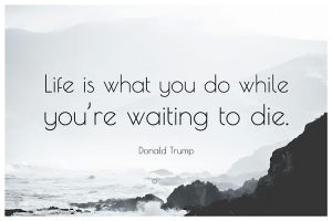 life is what you do while you’re waiting to die ...